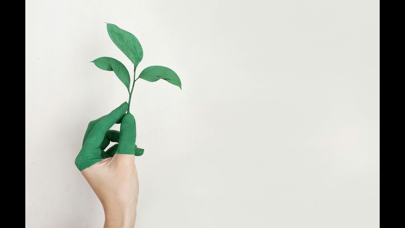Eco-Friendly Silicone Rubber Sustainable Solutions for the Future