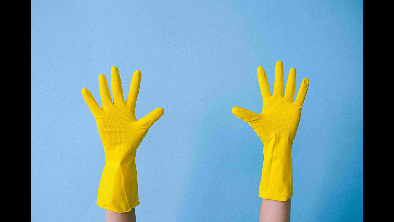 Rapid Vulcanization in Latex Gloves Ample Worldwide 2024