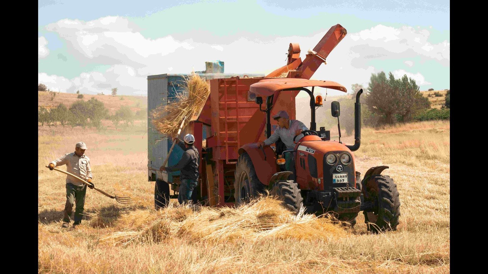 Rubber Process Oil Alternatives for Manufacturers Ample Worldwide 2024