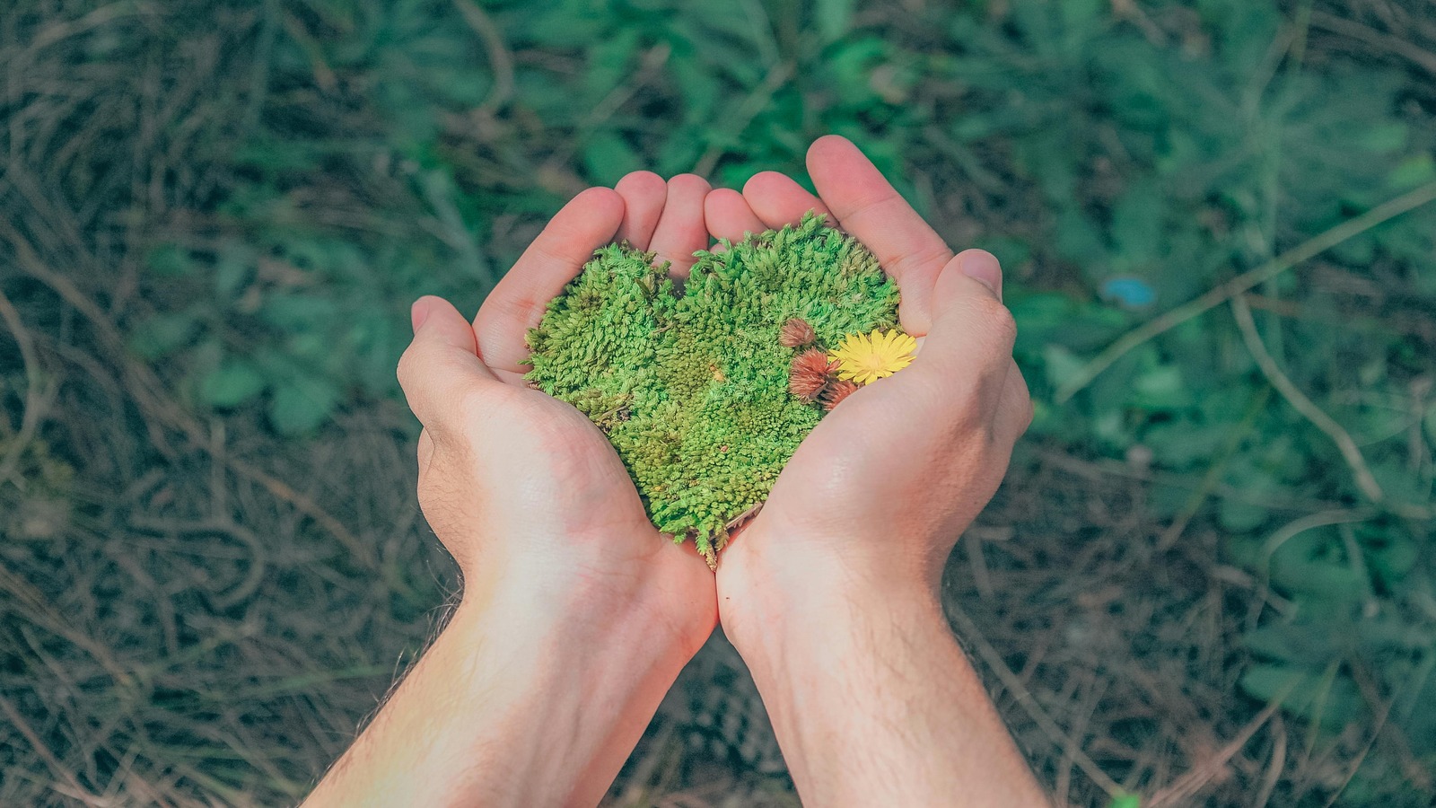 Silica Innovation and Sustainability Ample Worldwide 2024