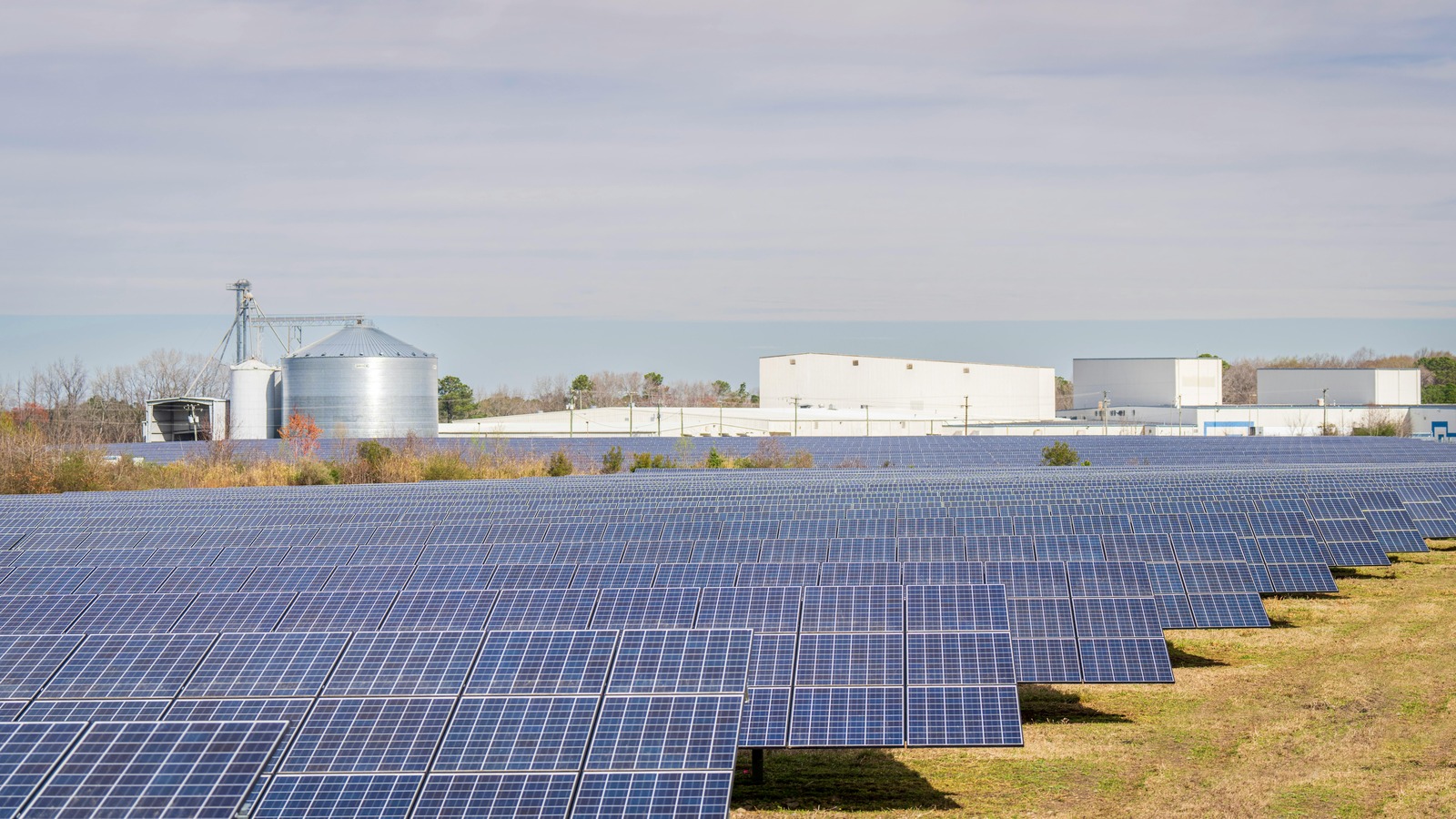 Support for Renewable Energy Ample Worldwide 2025
